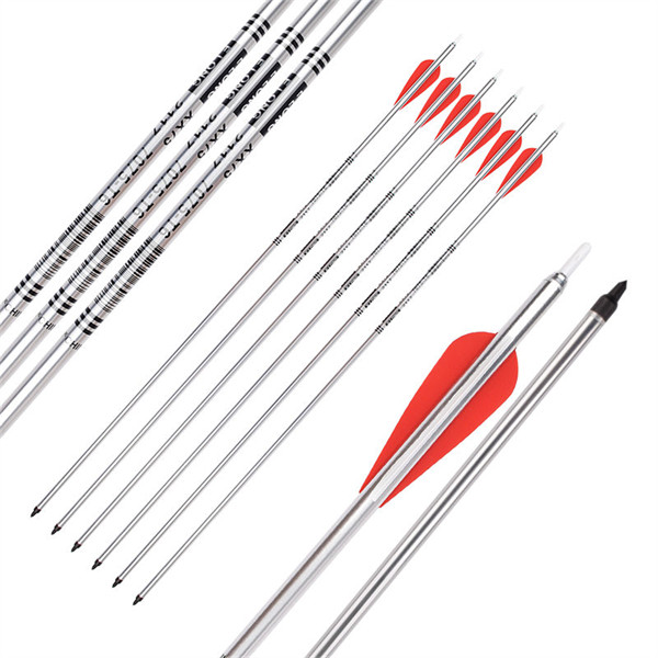 34inch Bowfishing Arrows Solid Fiberglass Shaft with Broadhead for Compound  Bow and Recurve Bow Fishing Arrow Archery and Hunting (Pack of 6)