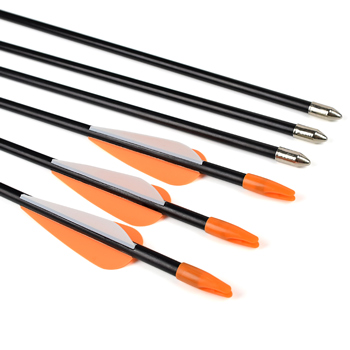 Youth Archery Fiberglass Arrow for Recurve bow Shooting arrow