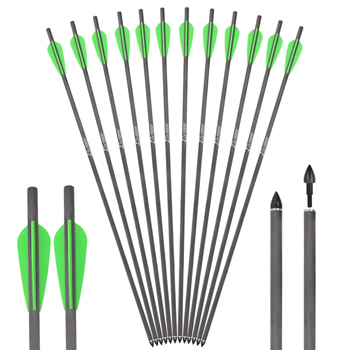 Airgun bolt arrow 26.37inch Carbon arrow 6 Pack 100gr bullet point Air Gun Arrow