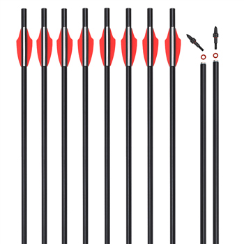 Airguns Universal arrow gun bolt arrows 2219 20'' Aluminum arrow 6 Pack for Air Guns Rifle without nocks