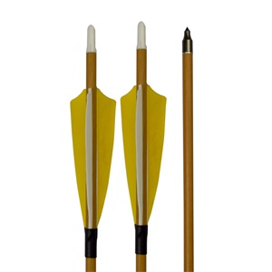 盾形纯色真羽黄色木纹碳箭