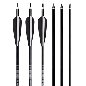 Elong Outdoor 2219 Aluminum Arrows Black Shaft For Archery Hunting  