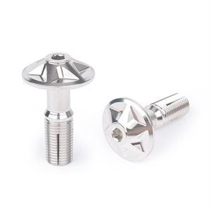 Elong 46mm Stainless Steel Limb Bolt Chrome Plated