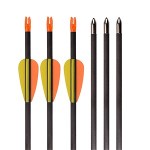 Elong Outdoor 4.2mm SP600 Pure Carbon Arrow