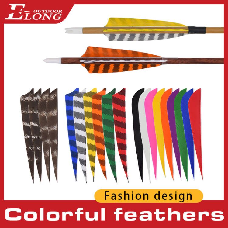 feathers.jpg