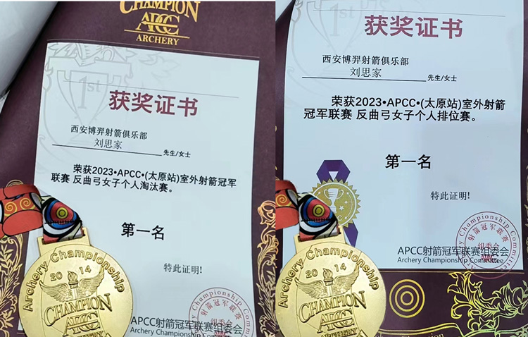 APCC Gold Medal.jpg